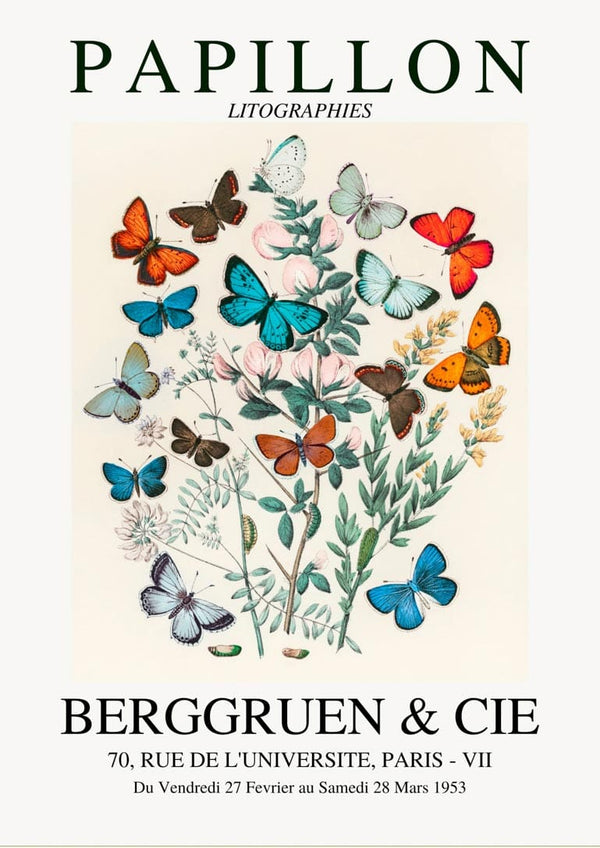 Póster de exposición de papillon colorido.