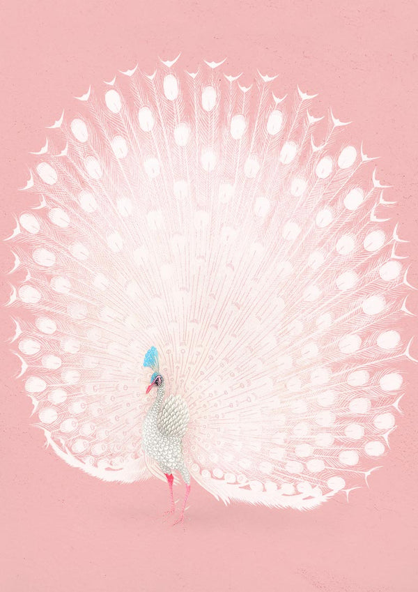 Póster de pavo real rosa de Ohara Koson