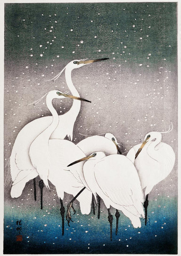 Japanese woodblock print of a group of white egrets by Ohara Koson, standing together in falling snow.