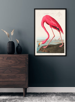 Framed John James Audubon Pink Flamingo print hanging on a dark wall above a wooden dresser with decor.