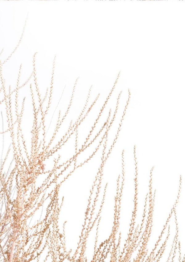 Minimalist artwork of delicate, abstract reed branches in soft beige against a white background.