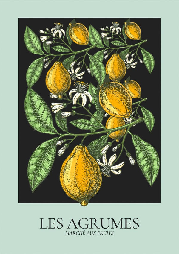 Illustration of yellow citrus fruits and green leaves with the text "Les Agrumes" on a Les Agrumes Green Plakat product page.