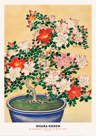 Art print of blooming azalea tree with red and pink flowers in a blue pot by Ohara Koson.