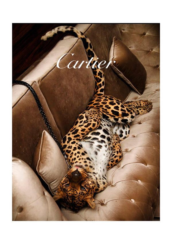 A leopard lounges on a luxurious beige velvet sofa, showcasing elegance for Cartier Fashion.