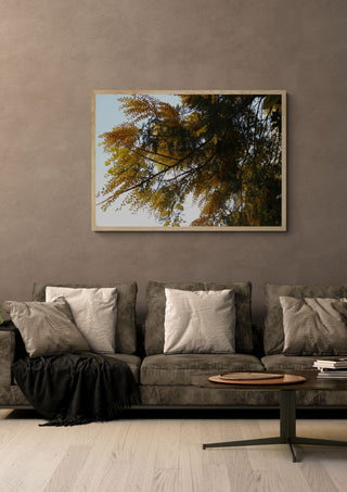 Acacia in Yellow by Elefteria in a light oak frame above a grey sofa on a warm brown wall