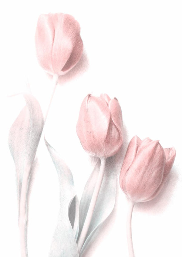 Three soft pink tulips with pale green leaves, highlighting the Sweet Pink product's delicate floral theme.
