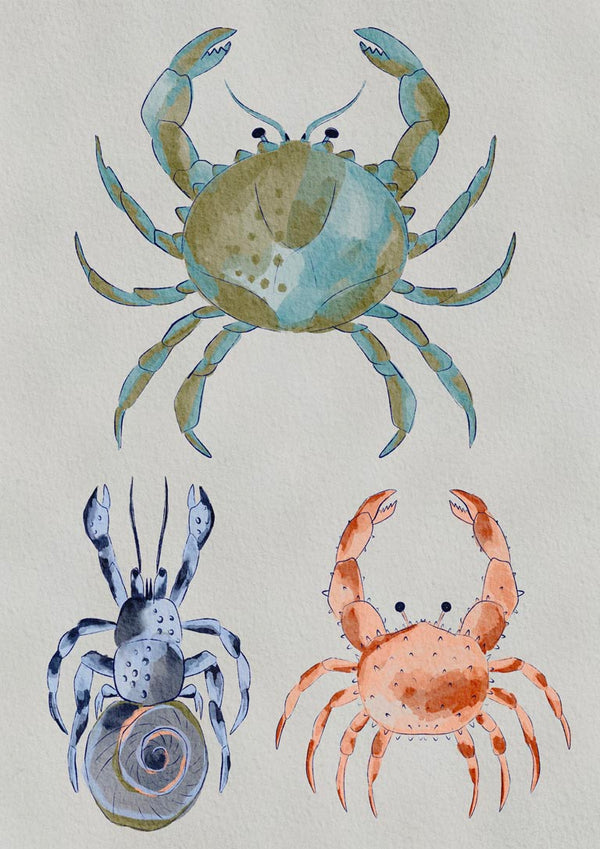 Cangrejos oceánicos en acuarela - Nikita Jariwala
