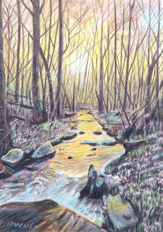 The Evening Stream by Finbar Stevens - a woodland stream holding yellow evening light between bare trees