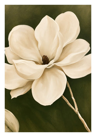 White Magnolia by Martina Karlsson - a cream magnolia open against a deep olive ground