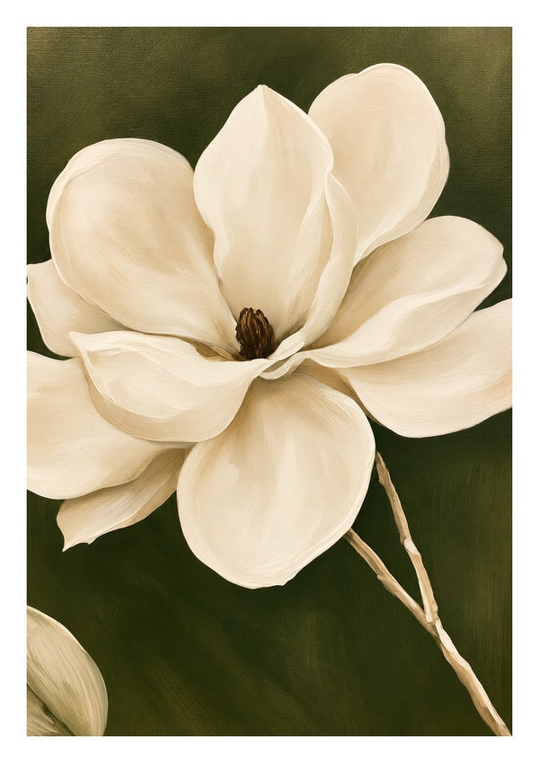 White Magnolia by Martina Karlsson - a cream magnolia open against a deep olive ground