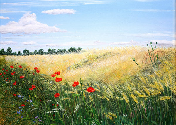 Summer by Juergen Duerrmann - red poppies along a ripening wheat field under a blue sky