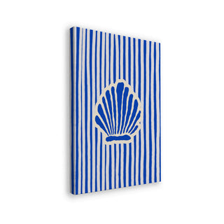 Rayas costeras de conchas - Treechild