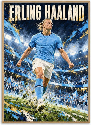 Erling Haaland - Danii Steinfeldt