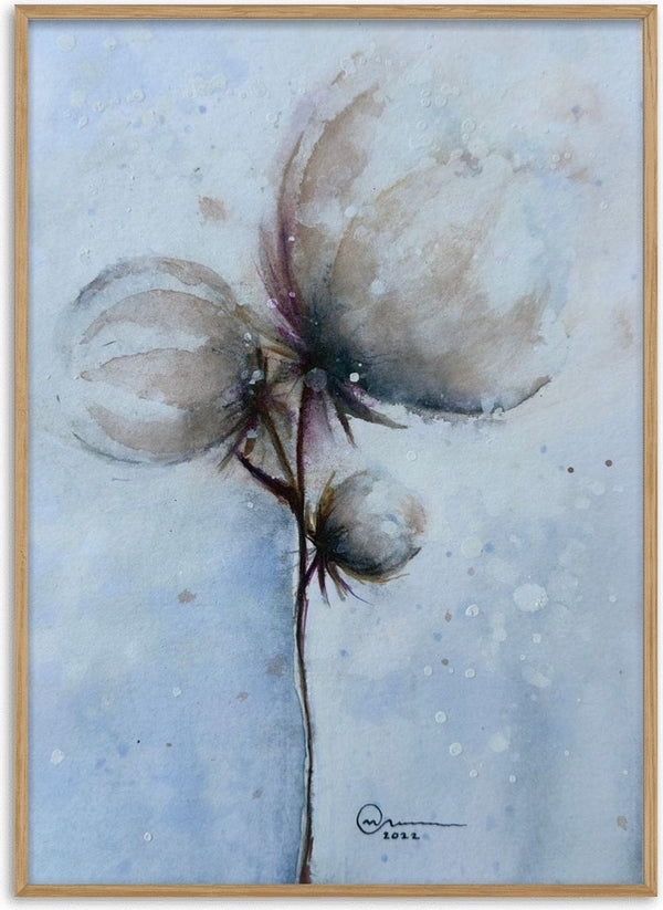 Cotton by Marina Agre - three cotton bolls on a dark stem against a pale blue-grey wash
