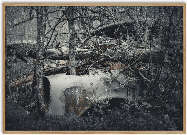 Decay (1) by Lone Gjessing - a car wreck buried under fallen trees in a grey-green forest