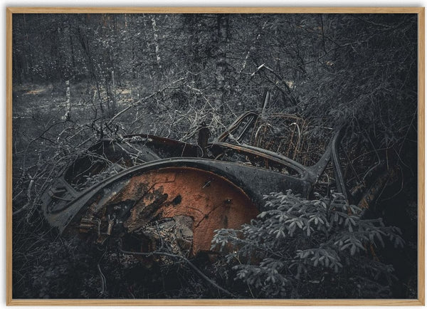 Decay (3) by Lone Gjessing - an orange rusted car wreck lying among branches in a cold grey forest