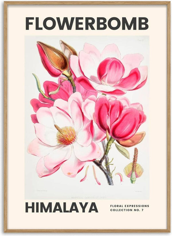 Art print of pink and white magnolia flowers with "FLOWERBOMB HIMALAYA" text, featured on a product page.