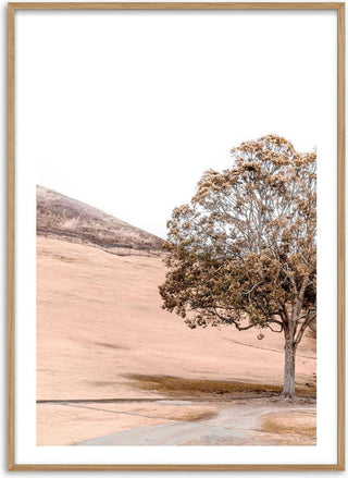 Mountain Mirroring in Lake Poster