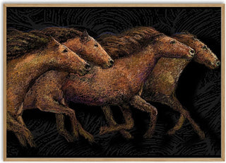 Mustangs - Designus