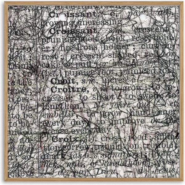 My French Dictionary, Page 38 by Priit Ruttas - a dictionary page covered in dense black pen drawing