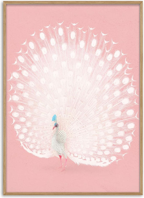 Póster de pavo real rosa de Ohara Koson