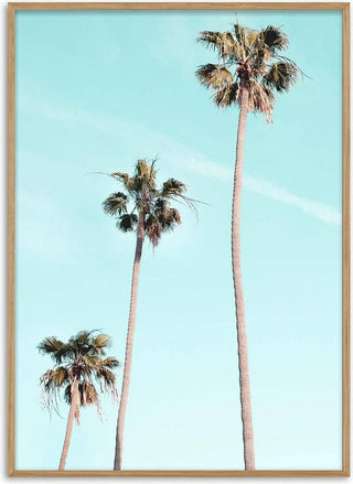 Tall Palms on Beach Poster