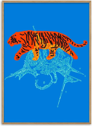 Tiger - Francisco Gualter