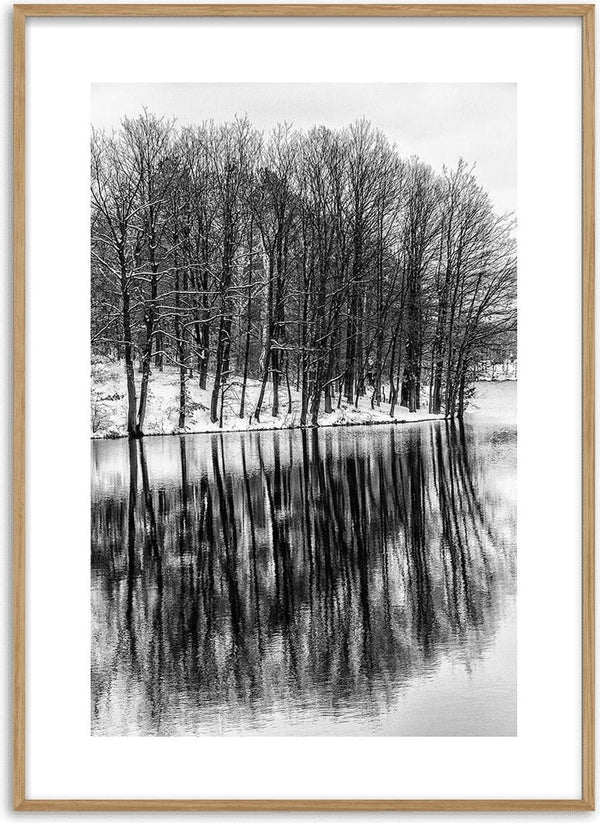 Black and white poster of bare trees reflected in a calm lake, Træer der spejler i søen design.