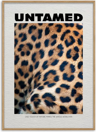 Untamed Leopard - Daniel Leo