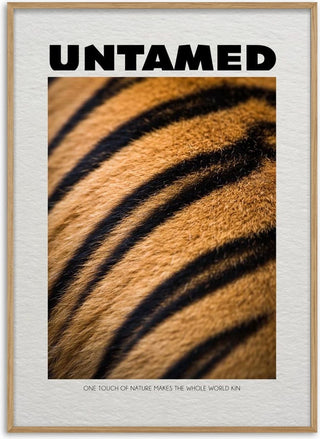 Untamed Tiger - Daniel Leo