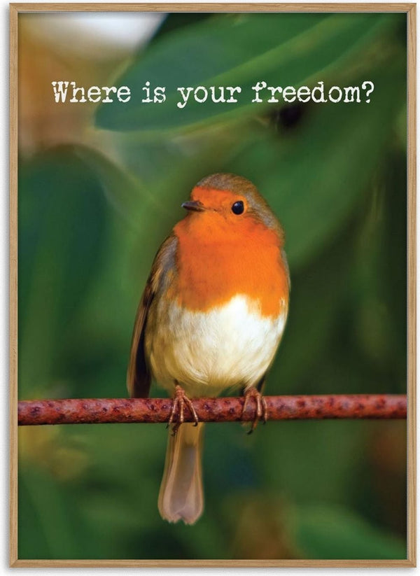 Photograph of a European robin perched on a rusty copper rod against a blurred deep green background.